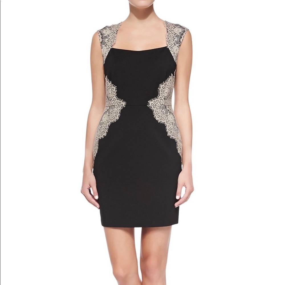 Erin Fetherston Shelby Ponte Lace Inset Dress